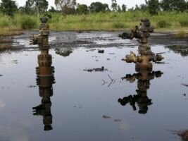 Госдума вводит принцип: загрязнитель окружающей среды платит, новатор получает льготы